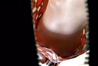 Y tá tóc nâu sau khi thổi kèn nhẹ nhàng thay thế mông của cô ấy fim sec hay bằng hậu môn thô bạo.