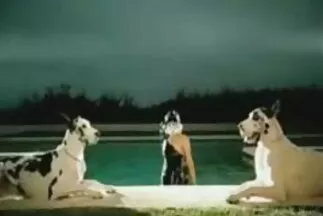 Adele Unicon trẻ tuổi cởi quần áo trong xe và nhảy lên dương vật của người sec me con dit nhau lái xe, kết thúc.