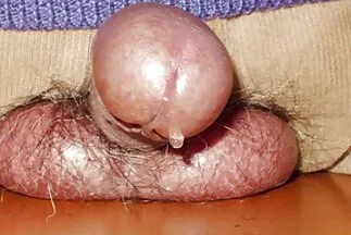 Một người đàn ông trưởng thành địt em phim xechan quoc hàng xóm trẻ tuổi trong vườn cải ngựa.